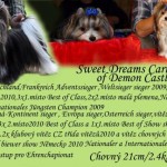 Sweet Dreams Carino of Demon Castle
